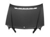 VAN WEZEL 3029660 Bonnet